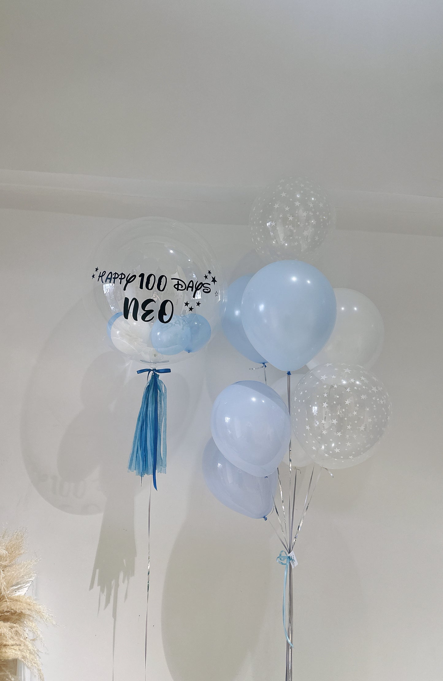 100日氣球串套裝100 Days Balloon Bouquet Set