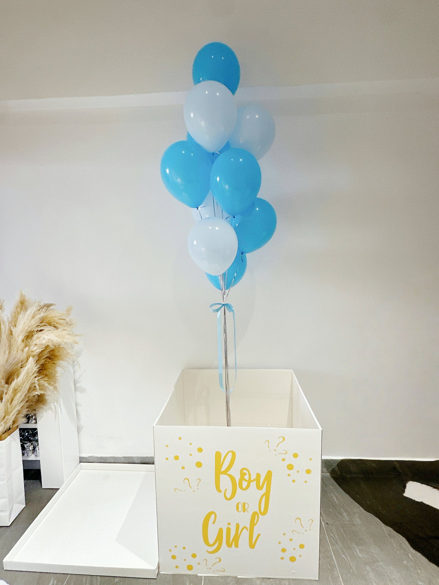 Baby Gender Reveal Suprise Box性別揭曉氣球盒子