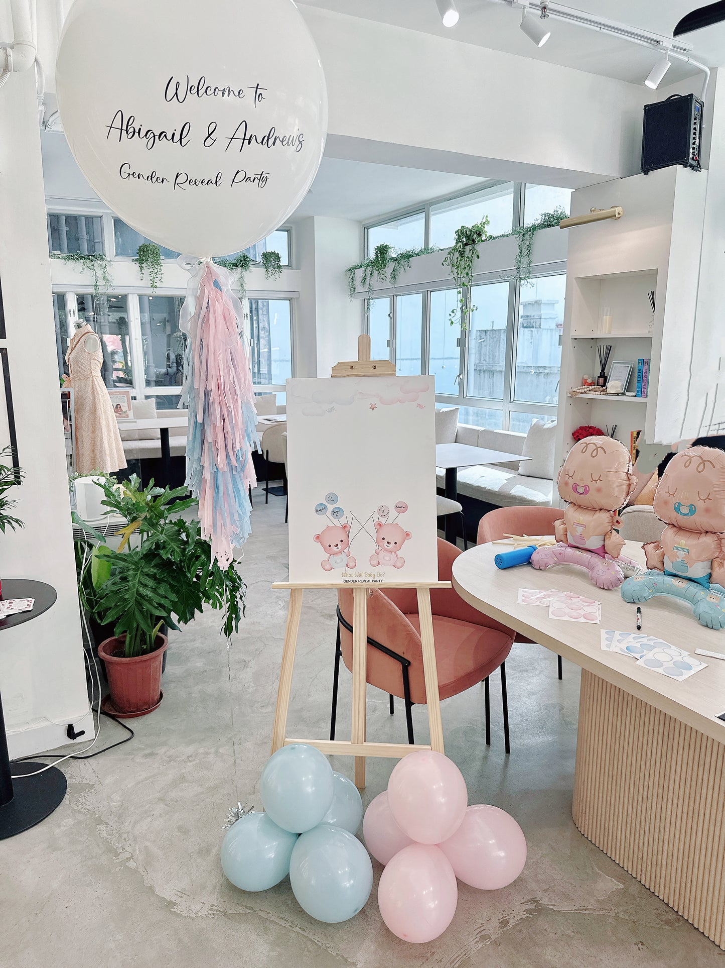 Baby Gender Reveal投票迎賓牌Baby Gender Reveal Voting Board