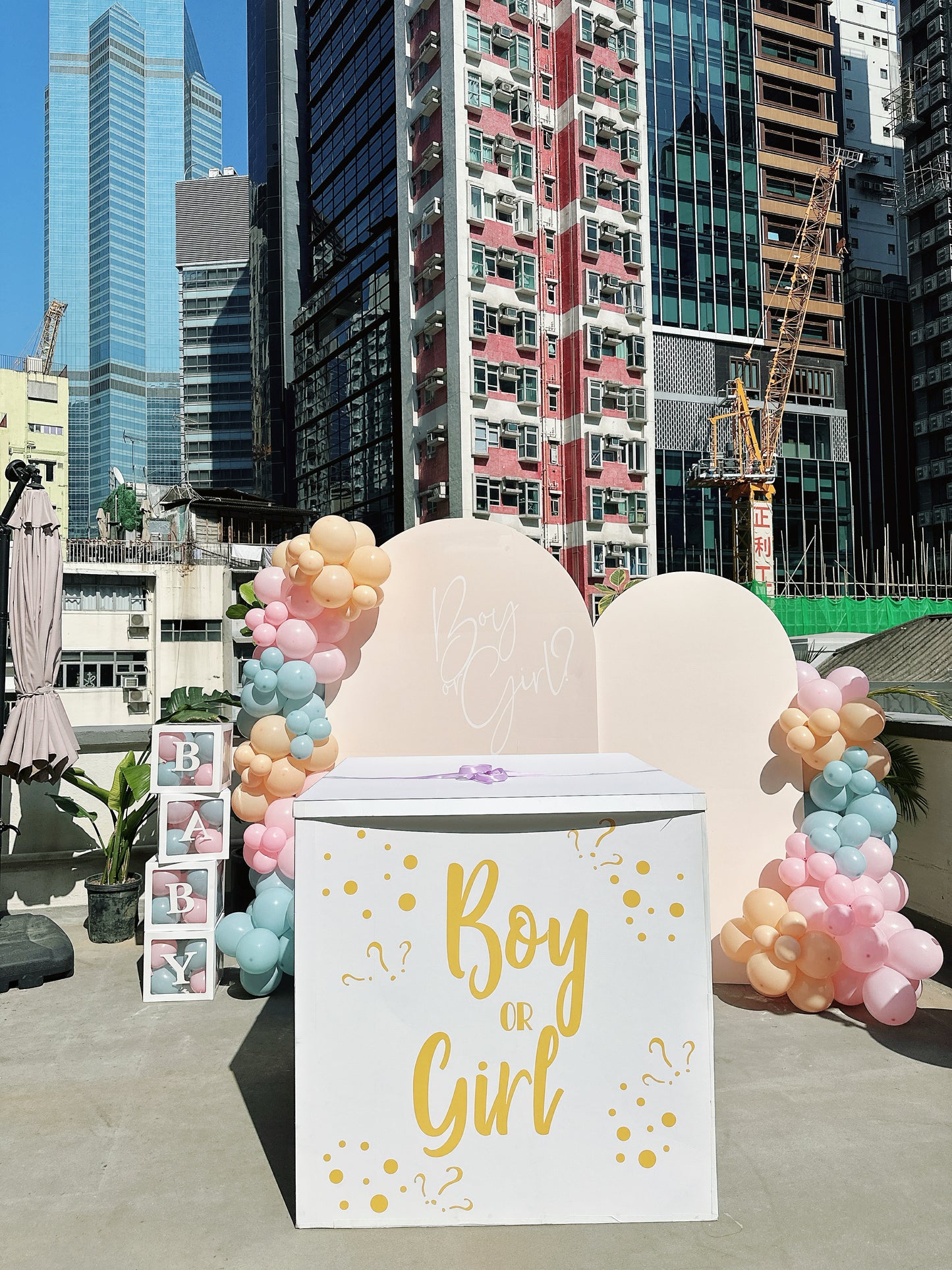 Baby Gender Reveal Deco性別揭曉氣球佈置