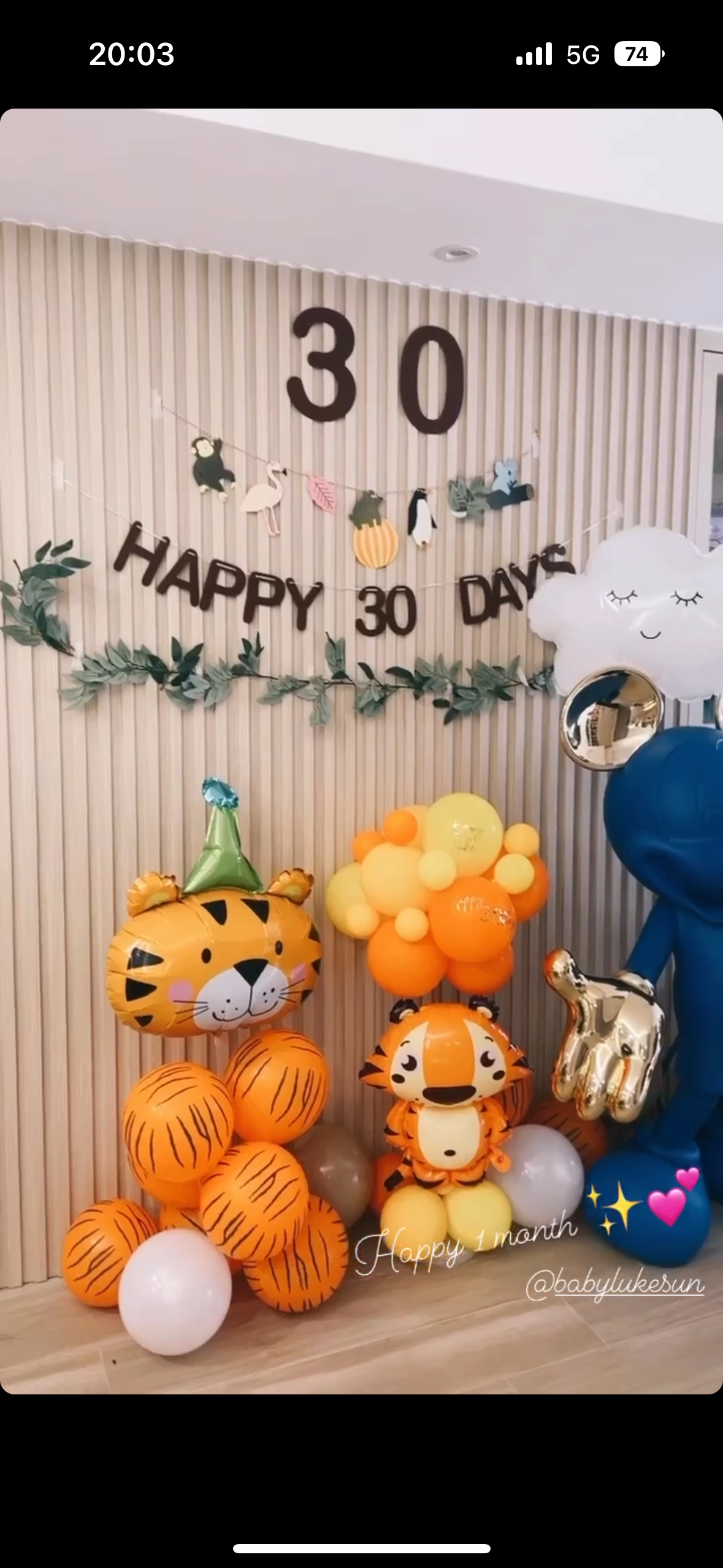 老虎仔氣球造型Tiger Balloon Stand