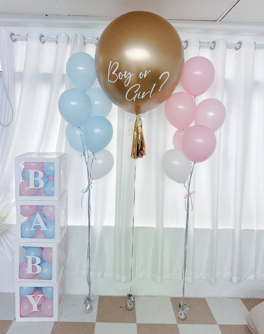 性別揭曉氣球套裝Baby Gender Reveal Balloon Set