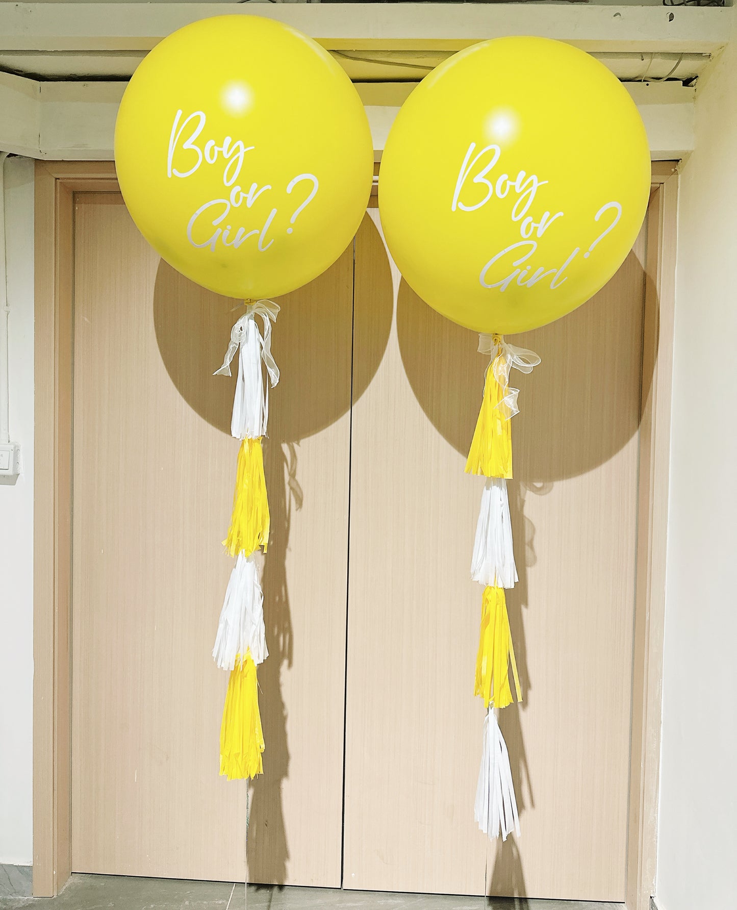 Baby Gender氣球套裝Baby Gender Balloon Set