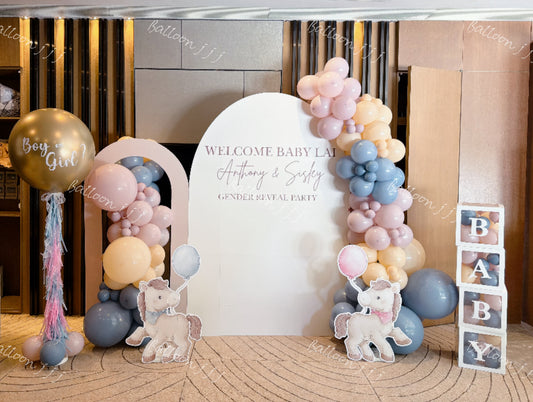 Baby Gender Reveal Balloon Deco