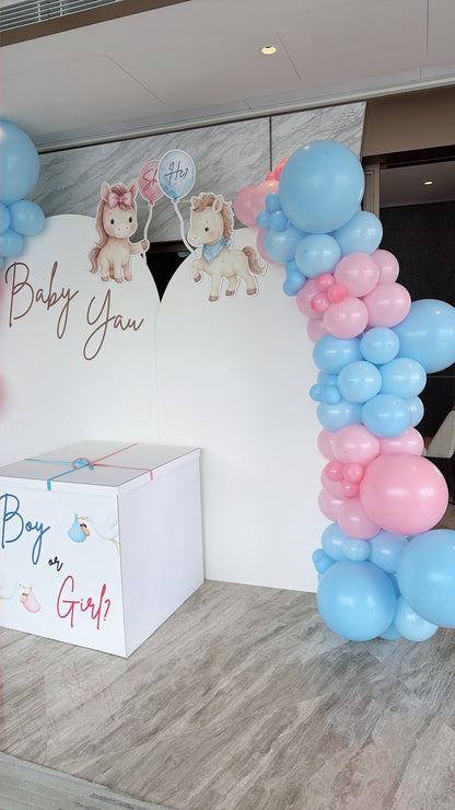 Baby Gender氣球佈置Baby Gender Balloon Deco