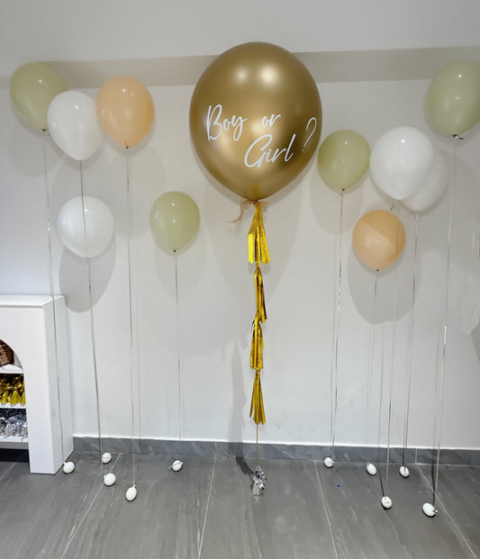 性別揭曉氣球套裝 Baby Gender Reveal Balloon Set