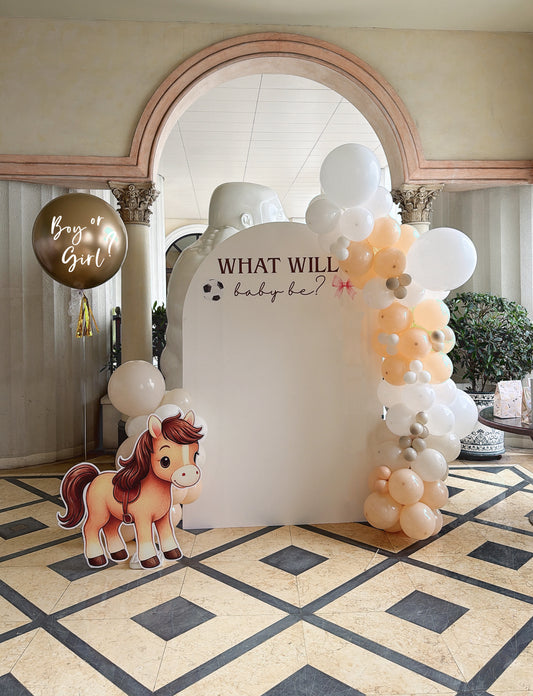 Baby gender氣球佈置 Baby gender reveal Balloon Deco