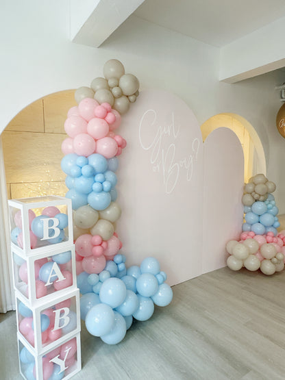 Baby Gender reveal氣球佈置 Baby Gender reveal balloon deco