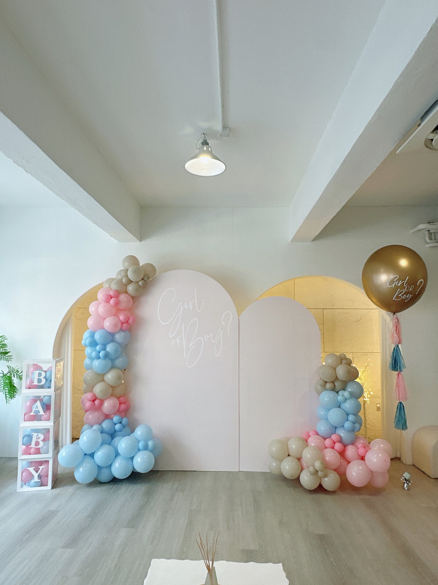 Baby Gender reveal氣球佈置 Baby Gender reveal balloon deco